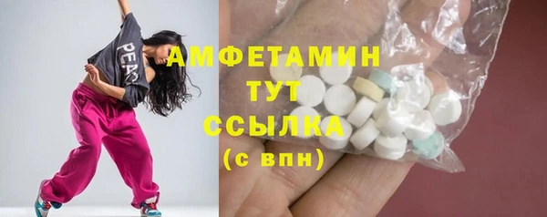 ECSTASY Бородино